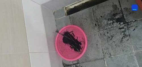 서울 · 통화 상담 이용 고객 글 사진